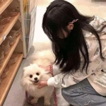 古剑奇闻录游戏正版下载